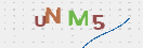 Obrázek CAPTCHA